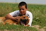 ENFANT ET CHIEN 390